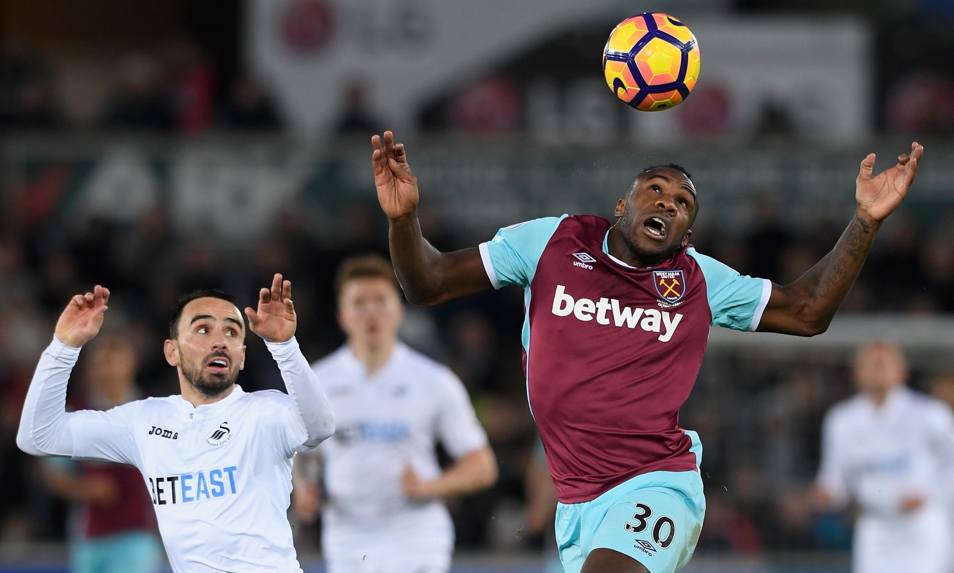 野所折服 野所折服