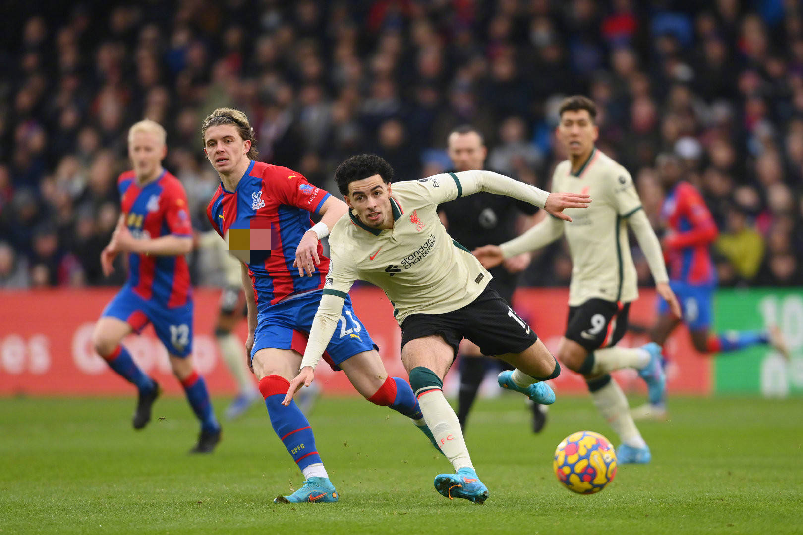 在分析本菲 在分析本菲